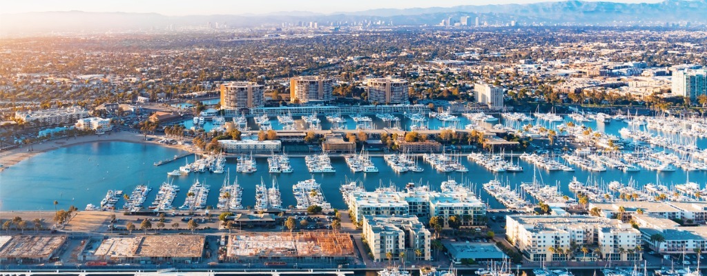 Talking Hedge | Marina del Rey, CA